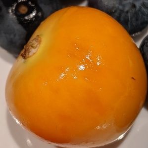 Meet your Posher, Rick